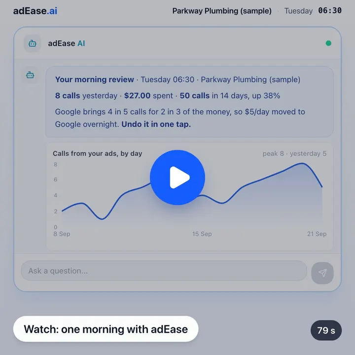 The adEase morning review on a sample account, with a play button